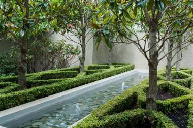 Oasis on Belmont Lane