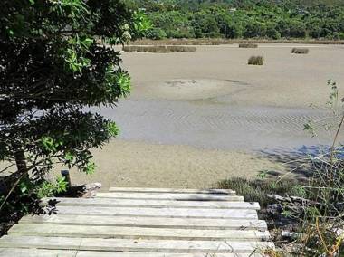 Kokopu Cabin - Pakawau Beach Bach