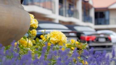 Randolph Motel Apartments