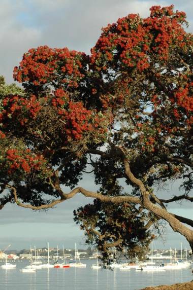 Nautical Nook Bed and Breakfast