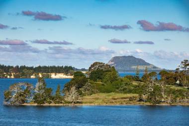 Omokoroa Sea View Apartment