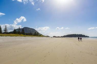 Sunny and Spacious - moments from the Beach and Downtown