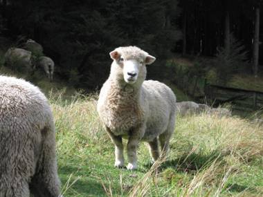 Thorold Country House