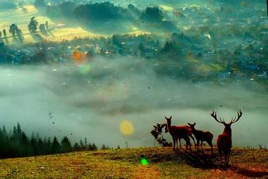 Aorangi Mountain Lodge