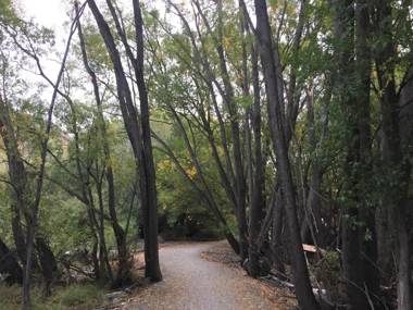 MyHolidays Shotover Delux Ensuite rooms