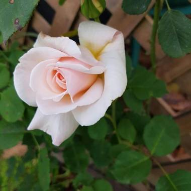 The Rectangle Apartment Akaroa