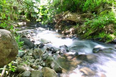 Akaroa Streamside Cottage
