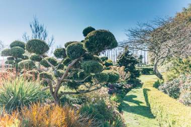 Lexington Park Cottages