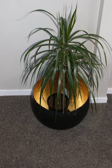 73 Milton Accommodation