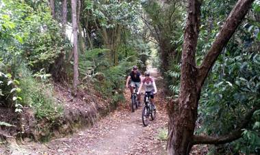 Cambridge Top 10 Holiday Park