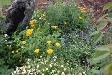 Villa Walton Bed & Breakfast