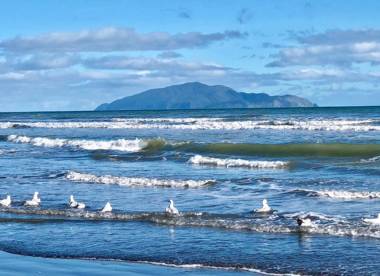 Otaki Beachfront Getaway