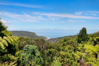 Piha - City Escape Piha Holiday Home