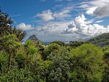 Surfer's Sunshine Cottage - Piha Holiday Home