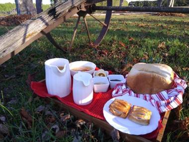 Magnolia Cottage B&B