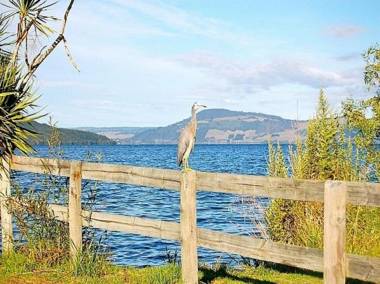 Blue Heron Lodge - Hamurana Holiday Home