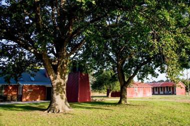 Coldstream Estate - The Whare
