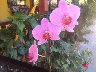 Casa de Los Suenos B&B Coronado Panama