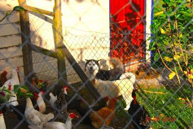 Hostal Casa Pedro Boquete