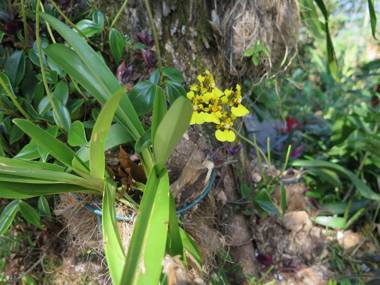 The Hacienda Apartment