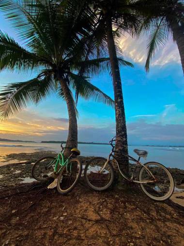 Hostal Camping La Y Griega