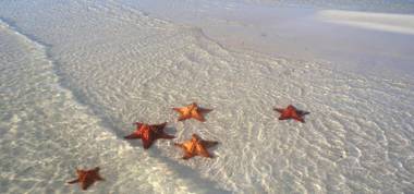 Caribbean Villages Aparments