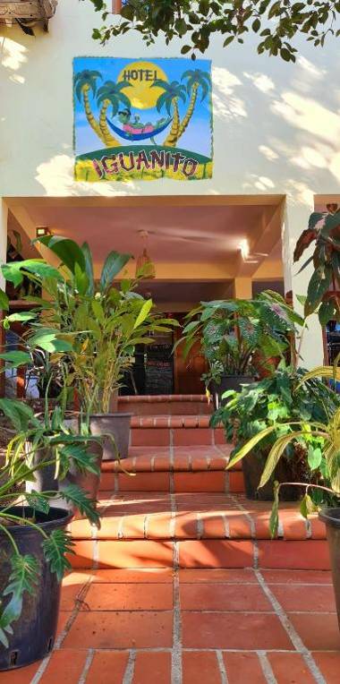 Hotel Iguanito
