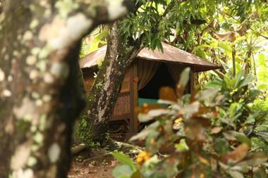 Tiki Lodge Bar & Restaurant