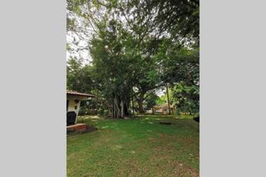 Gorgona Peaceful House