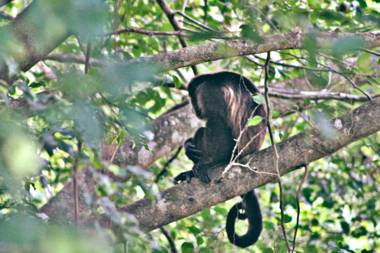 Mosana Reef Garden B&B
