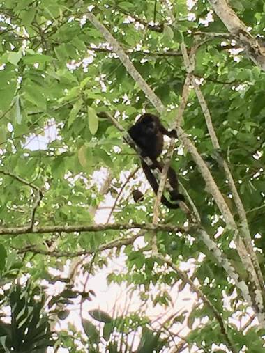 Casa Oceana Bed & Breakfast