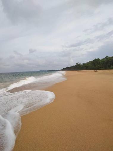 La Luciernaga Big Creek