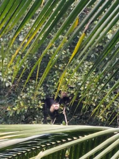 La Luciernaga Big Creek