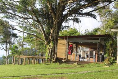 La Dama de los vientos