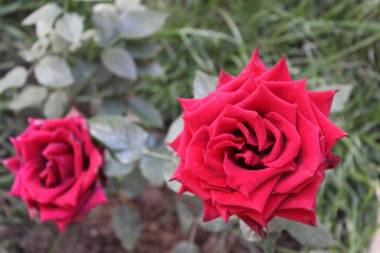 Kenti's Home Ollantaytambo