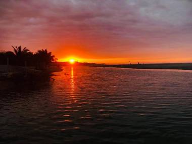 Palmeras de Bocapan Tumbes