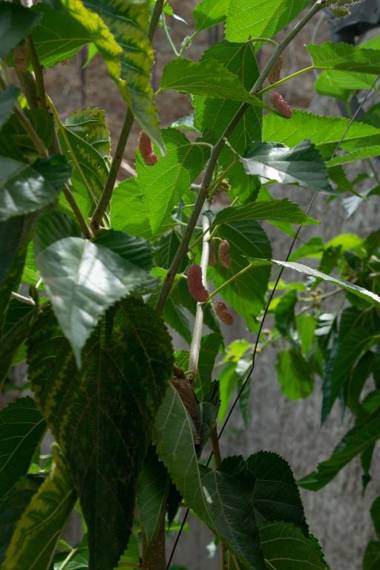 MarAzul Casa grade familiar en Zorritos