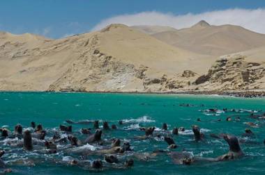 La Hacienda Bahia Paracas