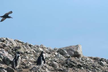 Hotel Riviera Inka Paracas