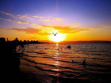 AQUAMARINE PARACAS Beach Hostal