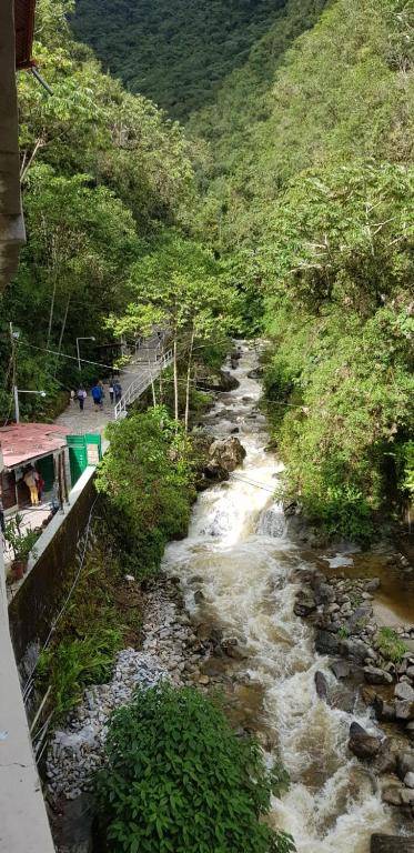Samananchis Machupicchu