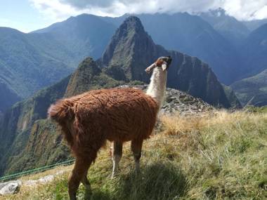 Golden Sunrise Machupicchu