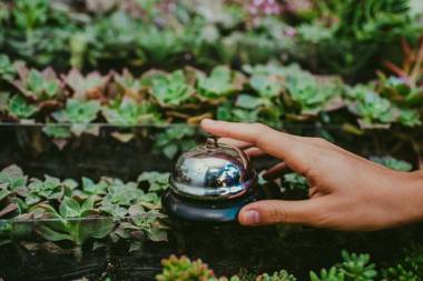 Rupa Rupa High Jungle Eco B&B