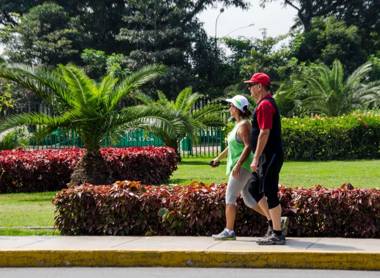 Departamento en el centro de San Borja (Rubens)