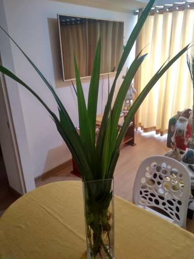 Departamento en Miraflores con Surquillo