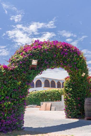 Macacona Hacienda Hotel