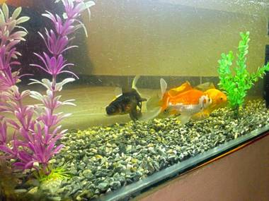 Hostal Sauna Tambo Wasi