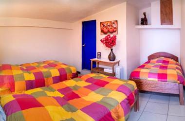 Flying Dog Hostel Cusco