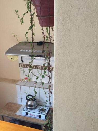 Big Vacation Hostel