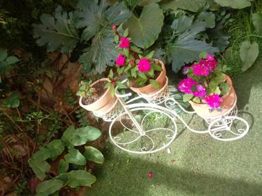 Helena de Santa María